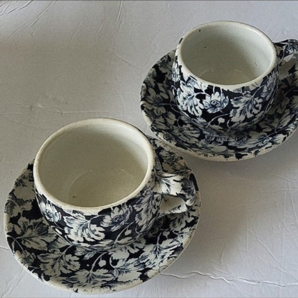 Mayer China cups and saucers 2 sets multicolor ironstone Arbor King Pin
